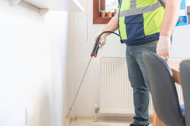 Trusted Rancho San Diego, CA Pest Control Experts